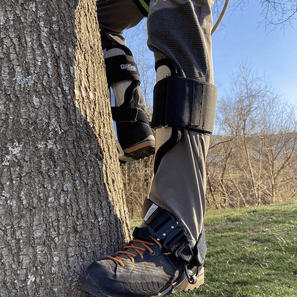 Notch Gecko Aluminium 2.0 Climbers Tree