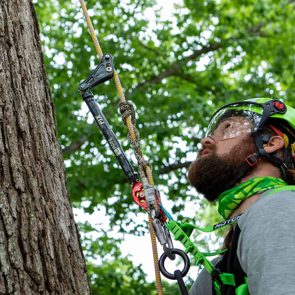 Tree climber using Notch Flow Adjustable Rope Wrench