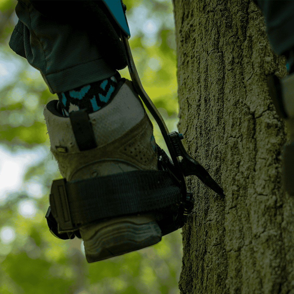 Notch Steel Climbers - Pole Gaff - Image 5